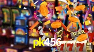 pk456 App Interface